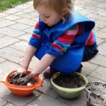 Mud Pies